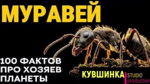 100 фактов о цивилизации которая под нашими ногами