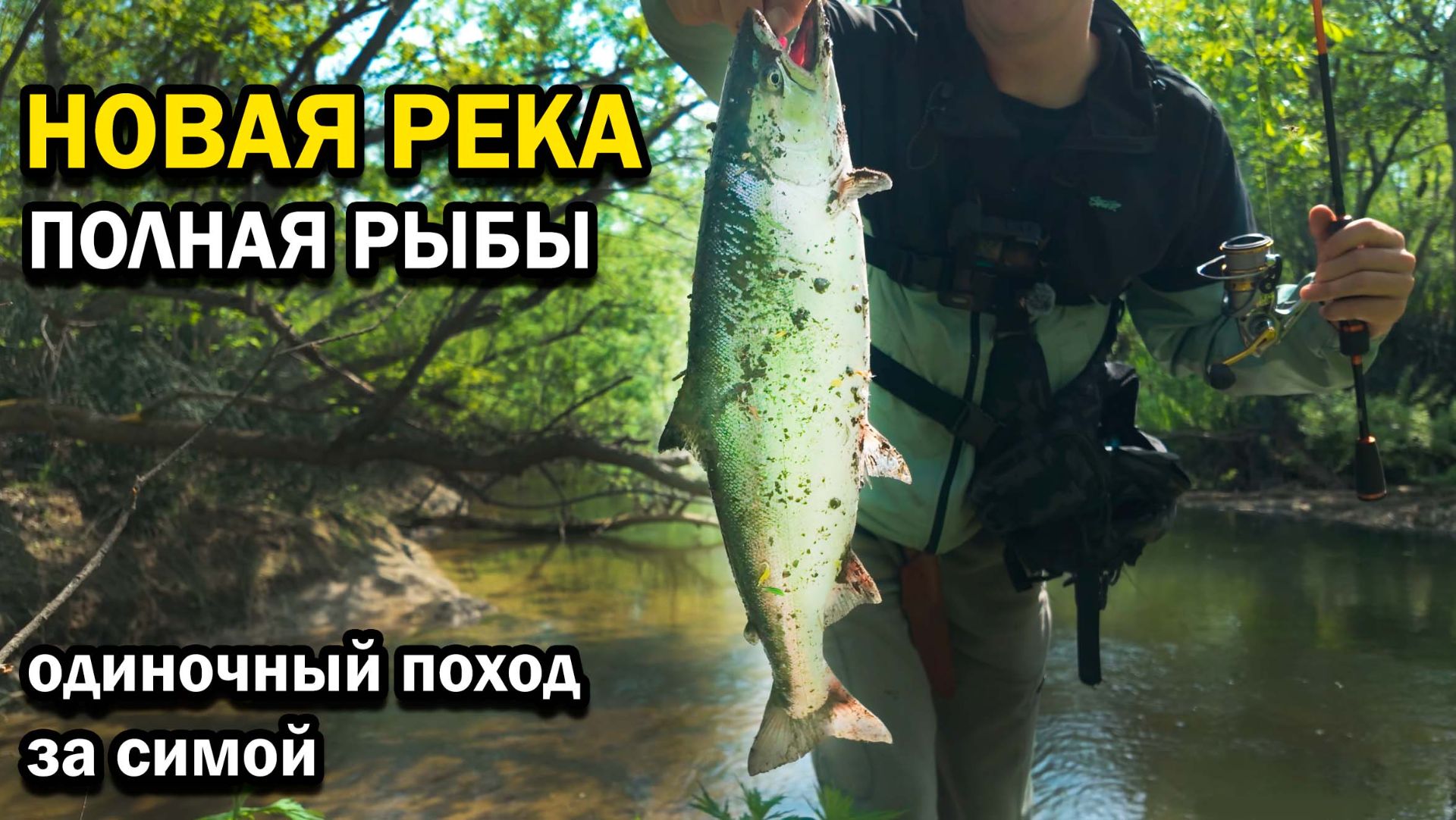 Открыл для себя новую реку. Сима. Шикарная рыбалка. #Сахалин #Рыбалка #Сима смотреть онлайн