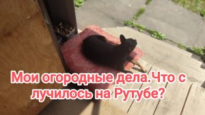 Мои огородные дела. 13-06-2026