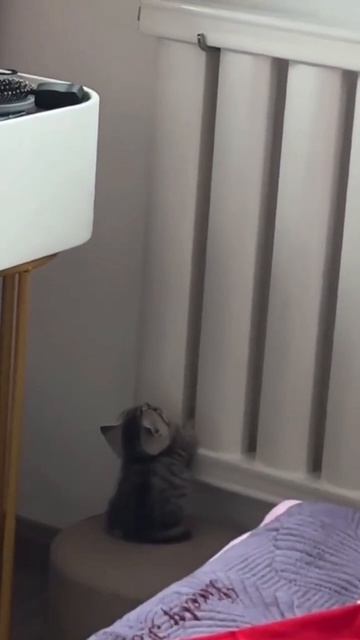 Acore смотреть онлайн