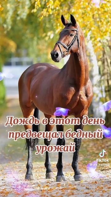 13 июня смотреть онлайн