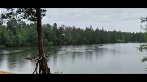 Саблино-Тосно-Шапки-Вырица-Гатчина туристический маршрут выходного дня