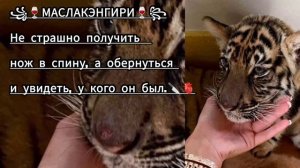 💥💋НОВАЯ 2026 ЦЫГАНСКАЯ ПЕСНЯ ДЛЯ МОЛОДËЖИ 💋💥 ТЕМКА