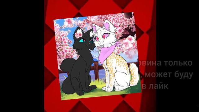 ахахах коллаб с звёздной ловиной смотреть онлайн