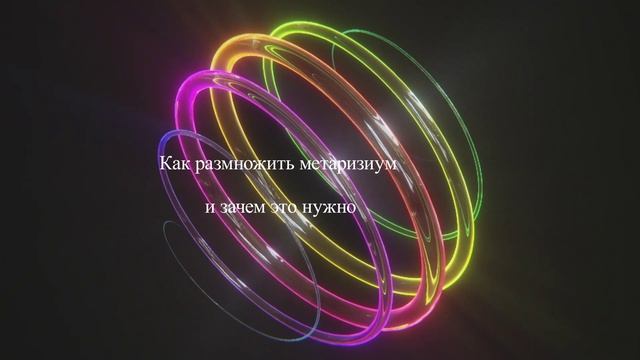 Как размножить метаризиум и зачем это нужно