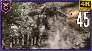 ЧЕРЕЗ СТАЮ ИЩЕЕК К МОСТОВОМУ ГОЛЕМУ! 45 Gothic 1 Remake