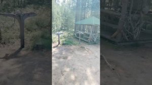 Изба в Карелии № 1 на озере среднее Куйто