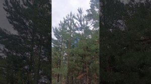 Теплый полезный влог