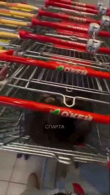 Ведьма!