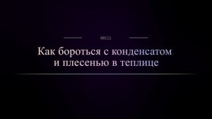 Как бороться с конденсатом и плесенью в теплице