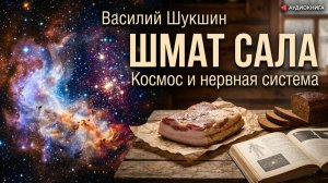 Василий Шукшин. Космос, нервная система и шмат сала. Аудиокнига рассказ  #литература