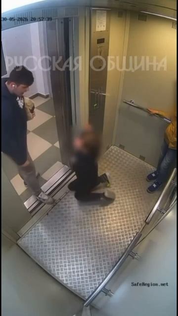 В Балашихе очередная обезьяна решила включить режим воздухана и поставила ребенка на колени. смотреть онлайн