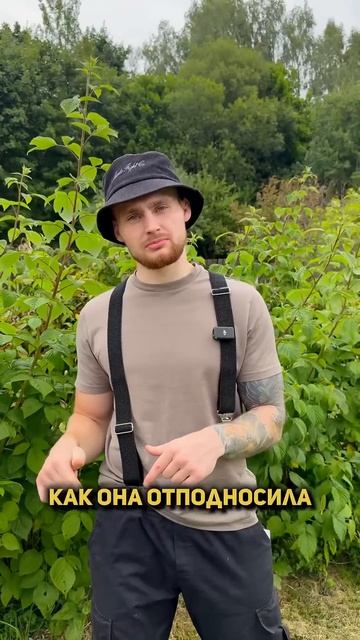 В чём отличие обычной малины от ремонта ной.