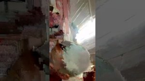 Мы с другом будем общаться и отвечать на вопросы в чате
