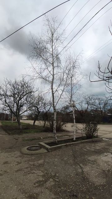 Вот такой день в городе Евпатория | 20 января 2022 год | Крым | ХАН БАТОН | VID_20220120_150629