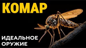 Комар — живое оружие, которое не смогли повторить даже военные