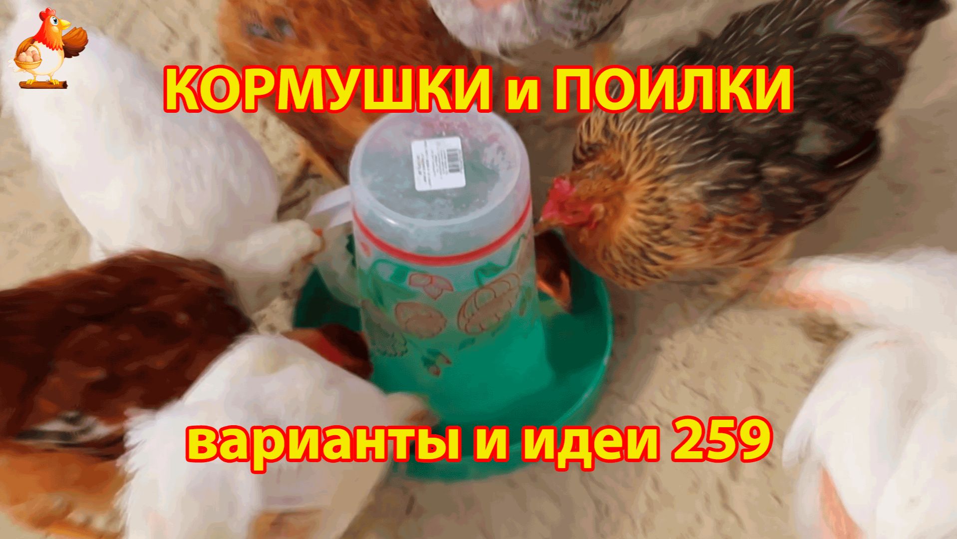 Кормушки и поилки для кур своими руками 259 🪚✂️ Пошаговая инструкция как сделать 🐔 🐓❣️