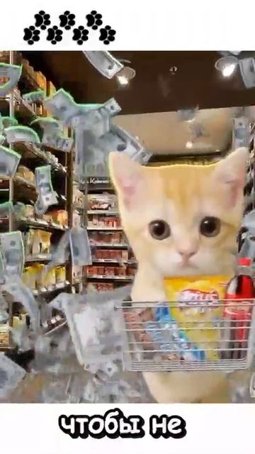 Как пойти в магазин за продуктами? смотреть онлайн