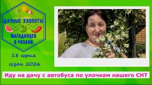 Иду на дачу с автобуса по улочкам нашего снт.  Дачные хлопоты магаданцев в Рязани. 4 июня 2026