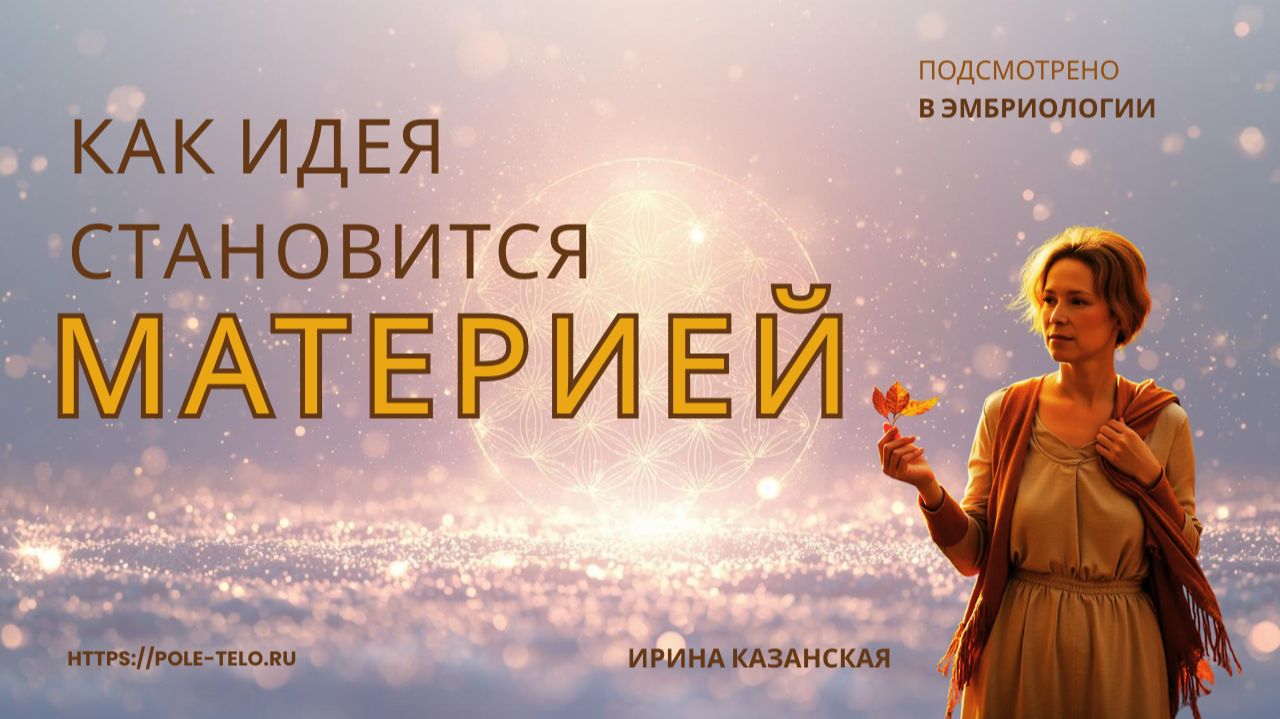 Как идея становится материей. Урок эмбриологии
