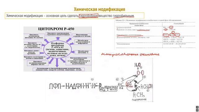 Биохимия печени