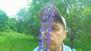 Ëршик Наверное