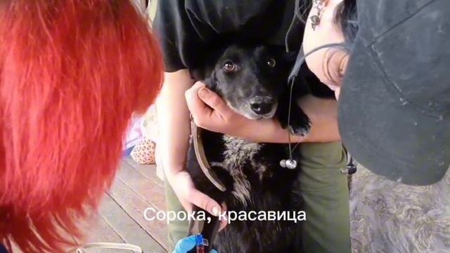Подготовка к лечению