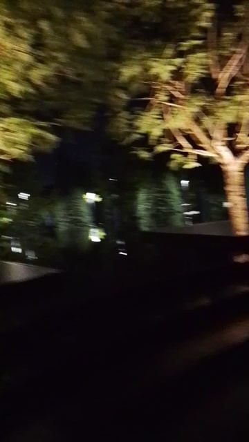 1000002786.mp4