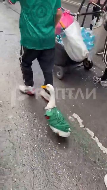 Самый главный фанат в Мексике 🇲🇽 смотреть онлайн
