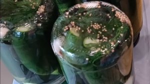 Огурцы на зиму без уксуса