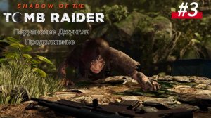 #3 Shadow of the Tomb Raider Перуанские джунгли продолжение
