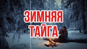 Зимняя тайга | лесная история
