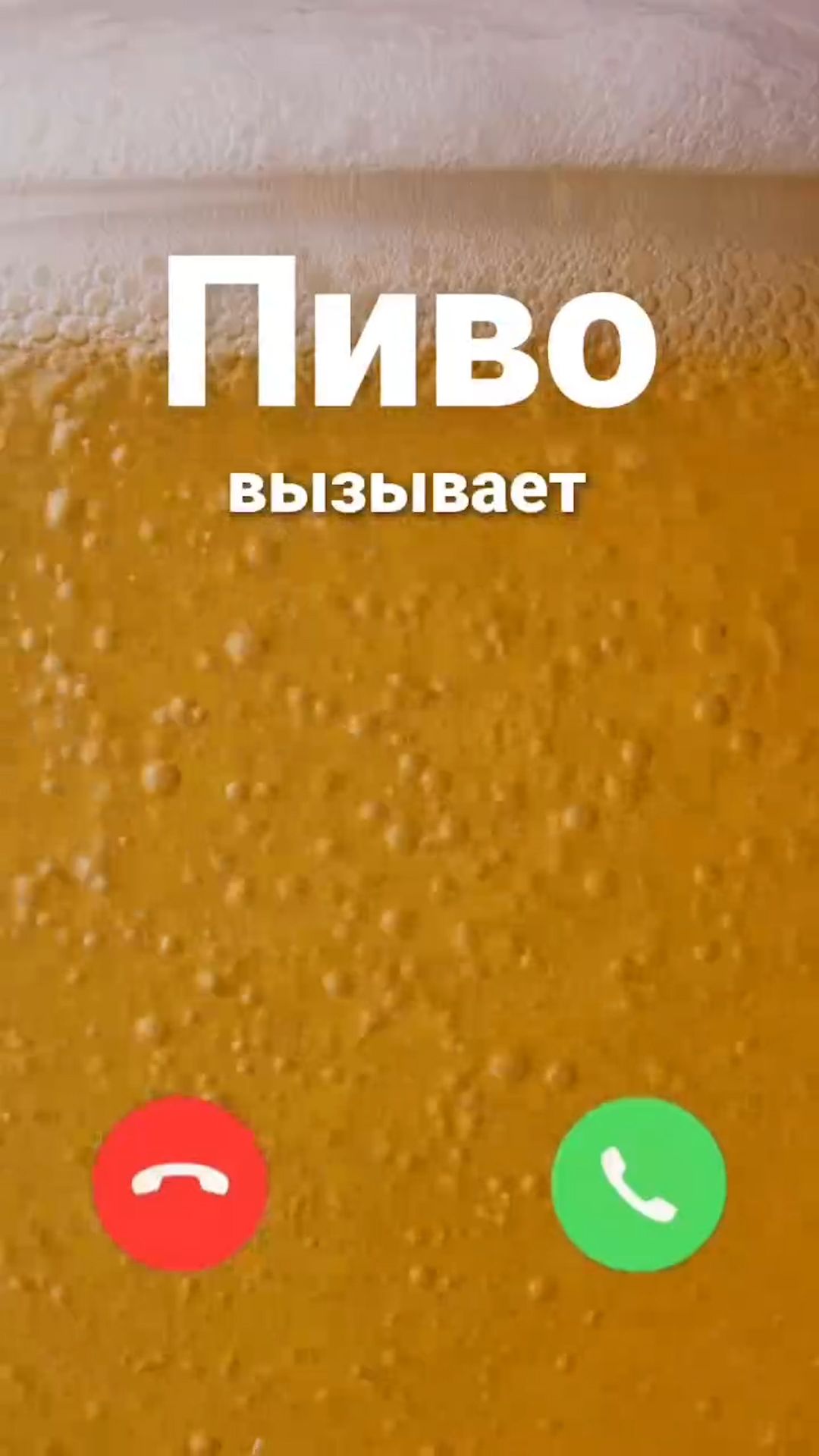 Пиво вызывает #пиво #тренд #тренды #рекомендации #trending #trend #fun #funnyvideo #lol #shorts