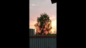 99135.mp4