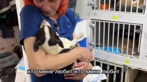Дедушка Джунгарик лечится
