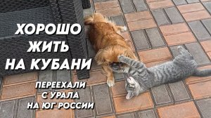 1161 Как мы живём на юге/Сюрпризы погоды на Кубани/Переехали с Урала на юг