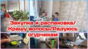 Закупка и распаковка для внука/Крашу волосы/Радуюсь своим трудом/Дети Погодки
