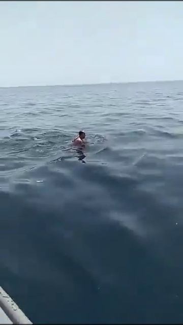 Всем весёлых выходных!