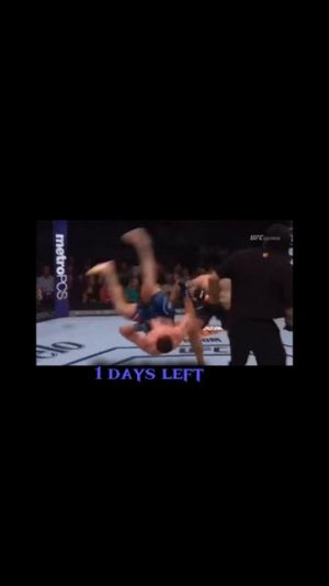 UFC в белом доме