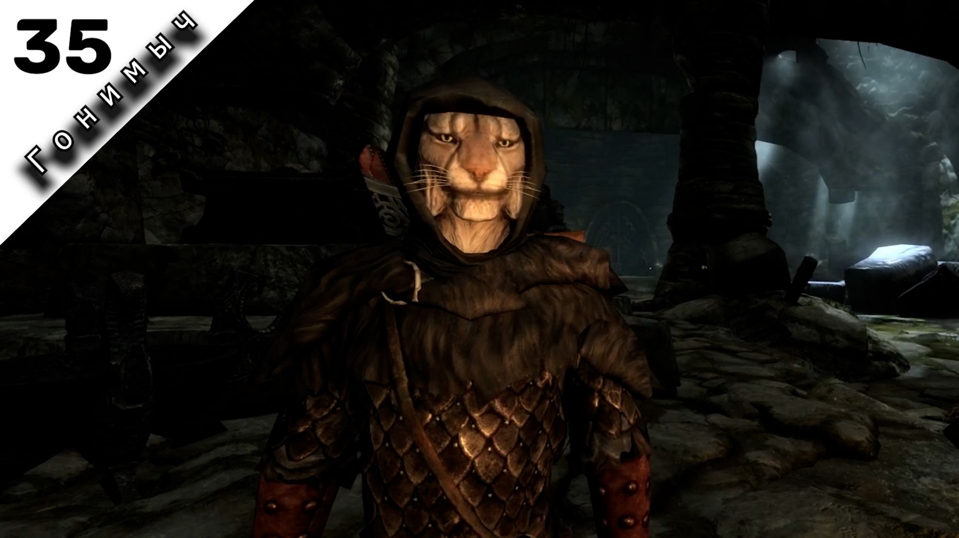 ВЕЧЕРНЯЯ ПЕЩЕРА﹥ 35 Серия﹥ (RFAB) The Elder Scrolls V: Skyrim