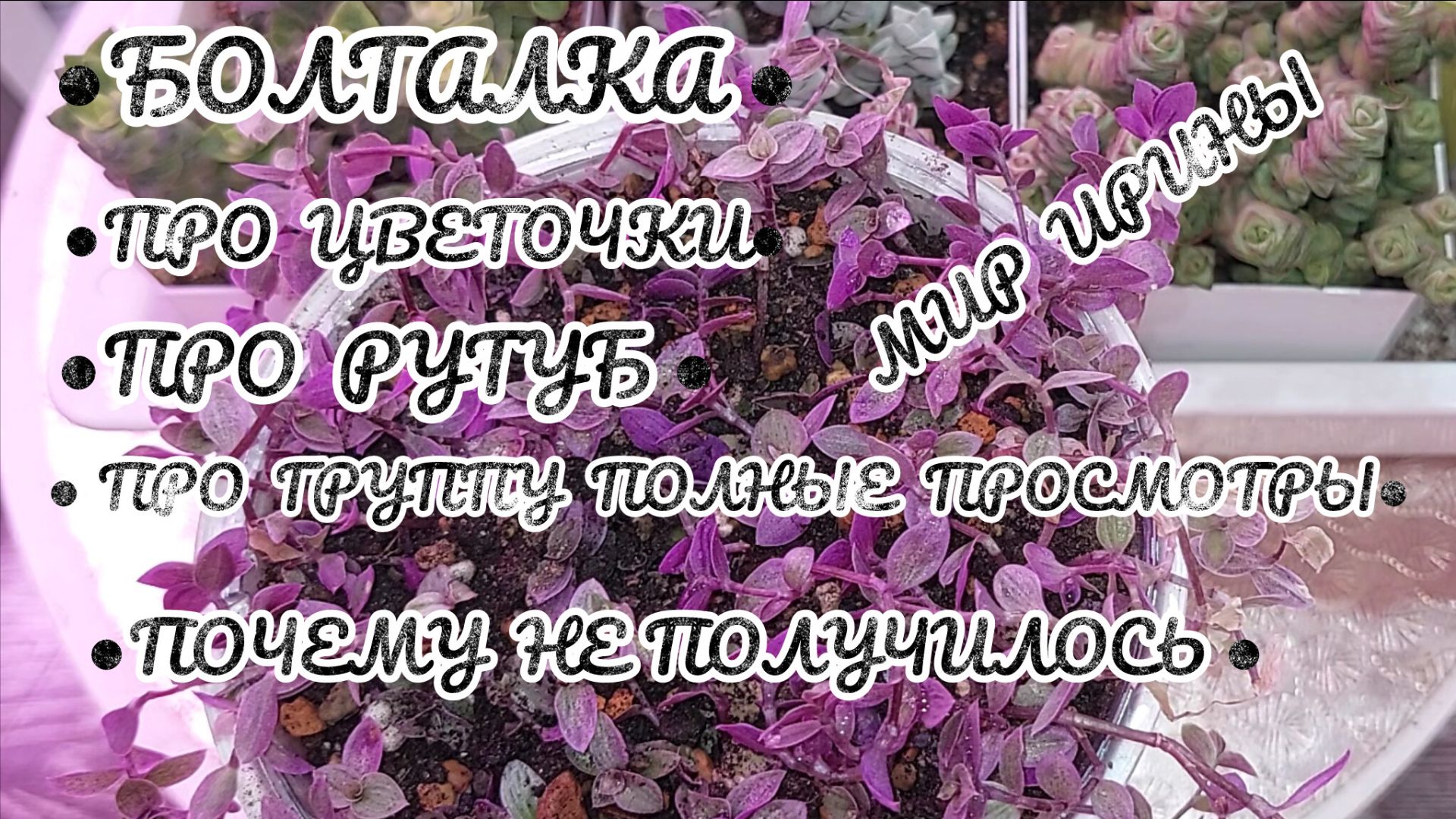 БОЛТАЛКА ПРО РУТУБ  ПРО ГРУППУ ПОЛНЫЕ ПРОСМОТРЫПОЧЕМУ НЕ ПОЛУЧИЛОСЬ  ПРО ЦВЕТОЧКИ