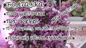 БОЛТАЛКА |ПРО РУТУБ | ПРО ГРУППУ ПОЛНЫЕ ПРОСМОТРЫ|ПОЧЕМУ НЕ ПОЛУЧИЛОСЬ | ПРО ЦВЕТОЧКИ●●●