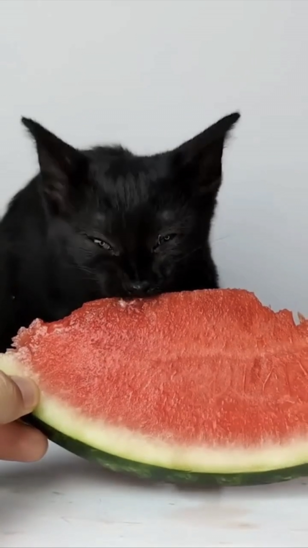 За арбузами! 🍉