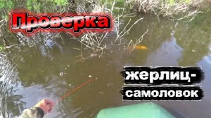 Проверка жерлиц. Сработки через одну! Но есть нюансы...