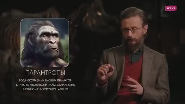 Как на эволюцию предков повлиял животный мир?  Дробышевский