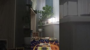 Карта дня