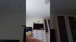 знакомства со стичем