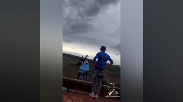 lo arrojan sin cuerda de seguridad