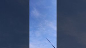 джиговая проводка с отдачей