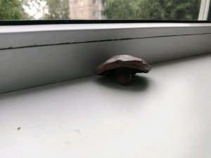 играем в игру